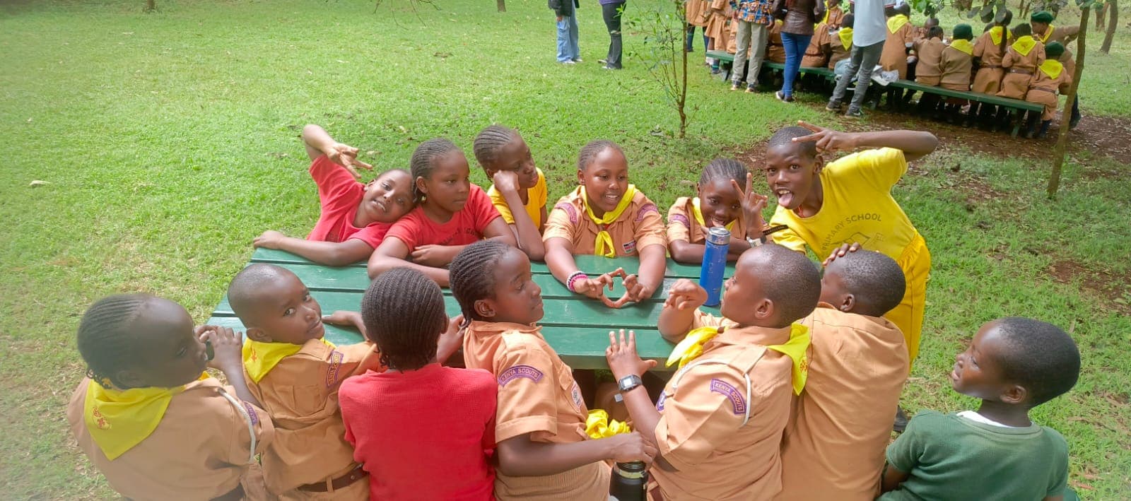 Bidii Scouts